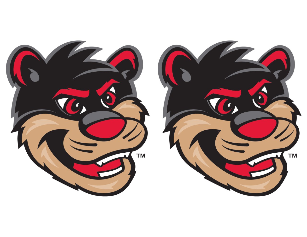 Printable Swag University Of Cincinnati Admissions University