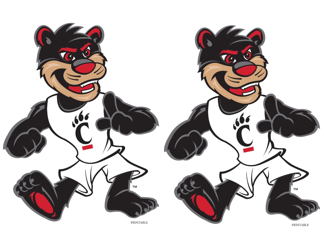University of Cincinnati Bearcats NCAA Cardstock Sticker Frame scrapbook